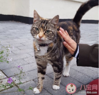 當代人早上打招呼方式是怎樣的 早上怎樣打招呼比較好