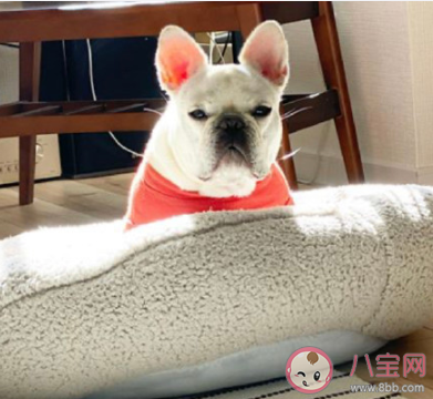 當代人早上打招呼方式是怎樣的 早上怎樣打招呼比較好