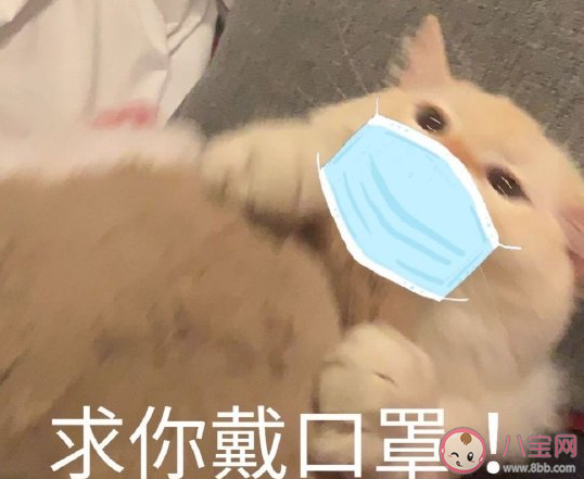 夏天戴口罩熱吐槽說說 天氣熱了戴口罩難受搞笑說說 夏天戴口罩熱吐槽說說 天氣熱了戴口罩難受搞笑說說