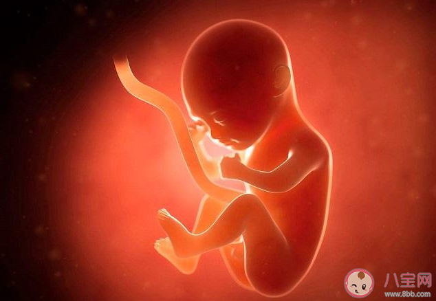 孩子在肚子里怎么做親子鑒定 懷孕做胎兒親子鑒定安全嗎