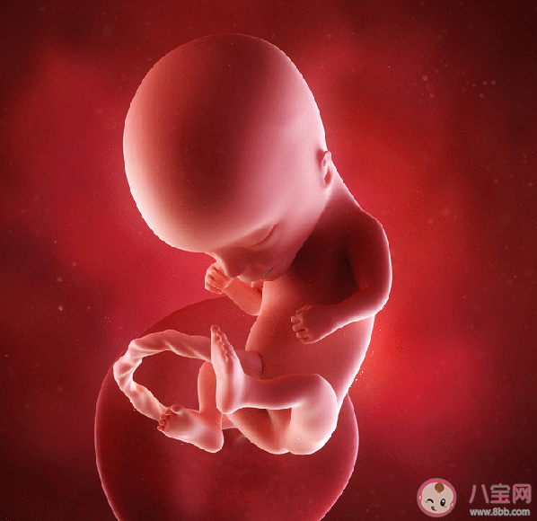 孩子在肚子里怎么做親子鑒定 懷孕做胎兒親子鑒定安全嗎