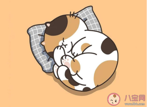 哄女朋友睡覺甜甜的小故事有哪些 給女朋友的超甜睡前故事