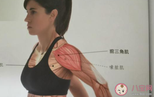 直角肩是一種病態(tài)嗎 直角肩和平肩溜肩的區(qū)別是什么