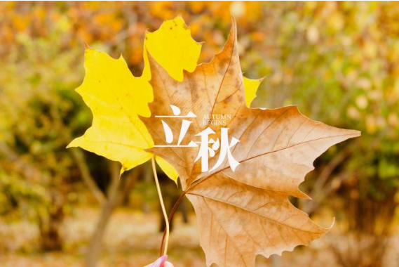 立秋早安的唯美短句帶圖2020 立秋早安心語唯美圖片說說2020