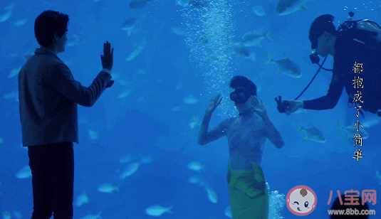 鐘曉芹美人魚表白是哪一集 鐘曉芹表白陳嶼哪一集