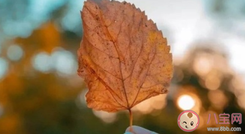 2020立秋是幾時幾分 立秋具體時間是幾點