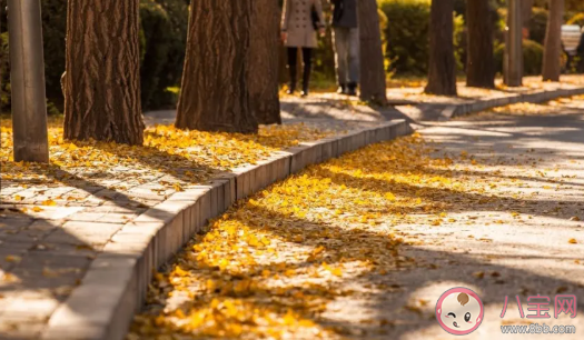 2020立秋是幾時幾分 立秋具體時間是幾點