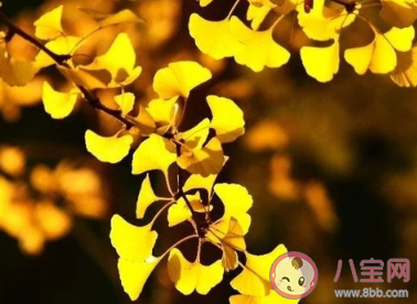 2020立秋是早秋還是晚秋 立秋后會(huì)變涼快嗎