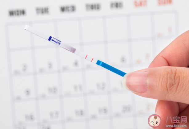 濾泡期/黃體期/月經(jīng)期/排卵期怎么區(qū)分 分別是什么日子