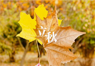 立秋早安的唯美短句帶圖2020 立秋早安心語唯美圖片說說2020