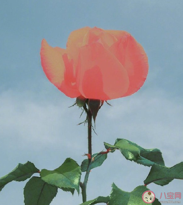 鼓勵年輕人奮斗的正能量句子 年輕人奮斗發朋友圈勵志說說 鼓勵年輕人奮斗的正能量句子 年輕人奮斗發朋友圈勵志說說