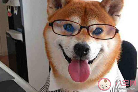 奮斗比是什么意思 奮斗逼是什么梗