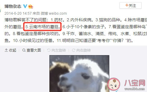 云南人吃蘑菇是什么意思什么梗 云南人吃蘑菇梗的出處是什么
