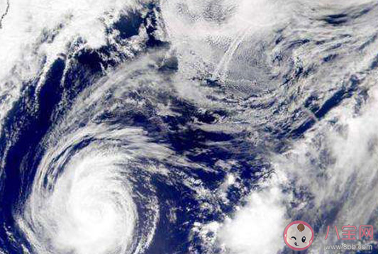 2020年5號(hào)臺(tái)風(fēng)薔薇生成是什么時(shí)候 臺(tái)風(fēng)來(lái)臨如何保護(hù)好好自己 2020年5號(hào)臺(tái)風(fēng)薔薇生成是什么時(shí)候 臺(tái)風(fēng)來(lái)臨如何保護(hù)好好自己