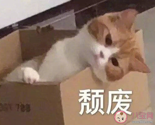 關于想放假的說說心情短語 非常想放假幽默搞笑說說