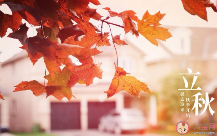8月7號立秋的暖心文案說說 立秋了的溫馨說說大全