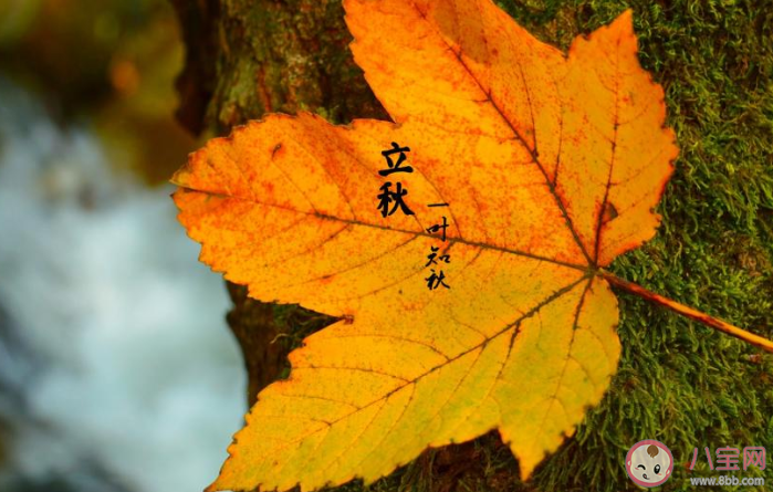 8月7號立秋的暖心文案說說 立秋了的溫馨說說大全