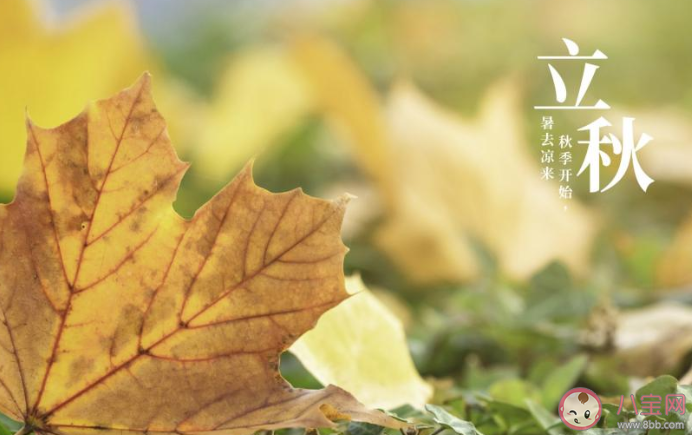 8月7號立秋的暖心文案說說 立秋了的溫馨說說大全