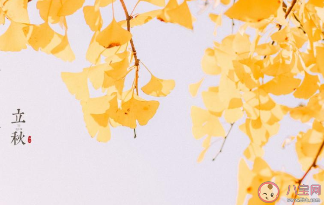 2020立秋節氣有意境的古詩詞推薦 2020立秋節氣古詩詞賞析 2020立秋節氣有意境的古詩詞推薦 2020立秋節氣古詩詞賞析
