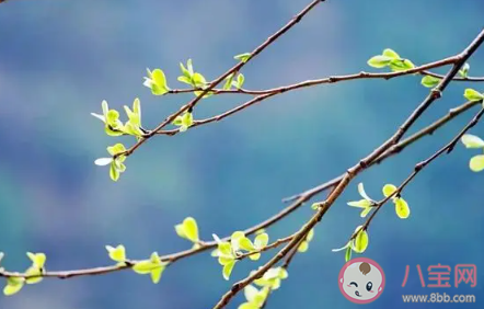 關(guān)于立秋的詩句有哪些 描寫立秋節(jié)氣的詩句大全