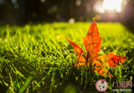 關(guān)于立秋的詩句有哪些 描寫立秋節(jié)氣的詩句大全