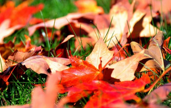 關于立秋的諺語順口溜有哪些 立秋節氣有趣的諺語順口溜大全 關于立秋的諺語順口溜有哪些 立秋節氣有趣的諺語順口溜大全