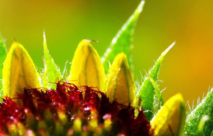 關于立秋的諺語順口溜有哪些 立秋節氣有趣的諺語順口溜大全 關于立秋的諺語順口溜有哪些 立秋節氣有趣的諺語順口溜大全