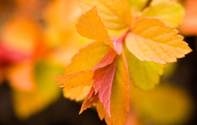 關于立秋的諺語順口溜有哪些 立秋節氣有趣的諺語順口溜大全 關于立秋的諺語順口溜有哪些 立秋節氣有趣的諺語順口溜大全