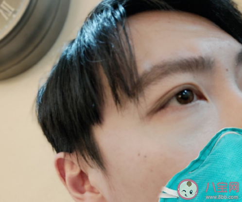 九菜盒子成員都有哪些 九菜盒子最全成員資料介紹