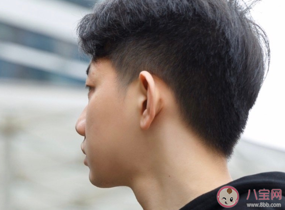 九菜盒子成員都有哪些 九菜盒子最全成員資料介紹