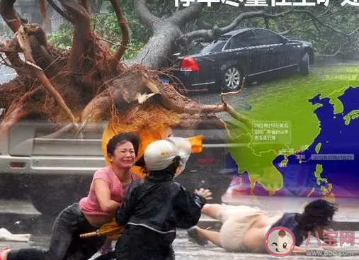 臺風(fēng)天氣外面車停在哪里比較好 臺風(fēng)來了車怎么停安全