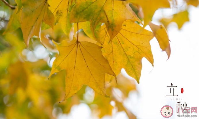 2020立秋秋天到了的朋友圈文案大賞 2020立秋之后是秋天的朋友圈說說