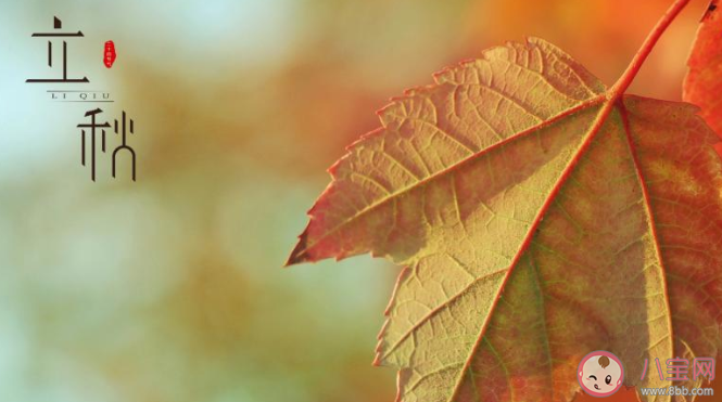 2020立秋秋天到了的朋友圈文案大賞 2020立秋之后是秋天的朋友圈說說