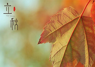 2020立秋秋天到了的朋友圈文案大賞 2020立秋之后是秋天的朋友圈說說