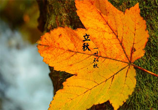 關于立秋的諺語順口溜有哪些 立秋節氣有趣的諺語順口溜大全