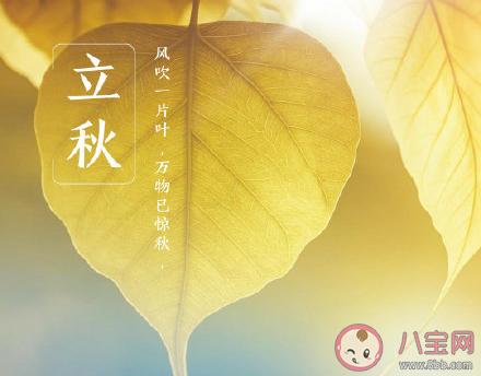 最新2020今日立秋早安的文案 2020今日立秋早安文案說說 最新2020今日立秋早安的文案 2020今日立秋早安文案說說