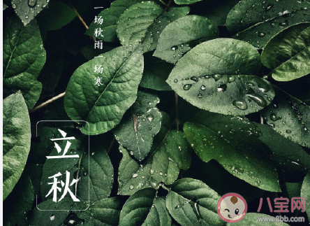 最新2020今日立秋早安的文案 2020今日立秋早安文案說說 最新2020今日立秋早安的文案 2020今日立秋早安文案說說