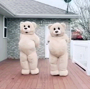 跳舞熊動(dòng)態(tài)表情包圖片大全 抖音跳舞熊表情包動(dòng)圖