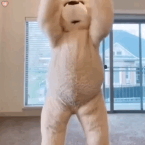 跳舞熊動(dòng)態(tài)表情包圖片大全 抖音跳舞熊表情包動(dòng)圖