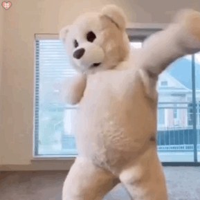 跳舞熊動(dòng)態(tài)表情包圖片大全 抖音跳舞熊表情包動(dòng)圖