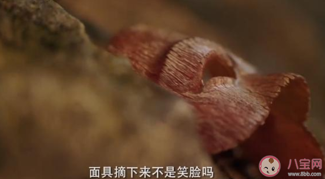 琉璃司鳳的情人咒怎么解的 情人咒最后沒(méi)了嗎