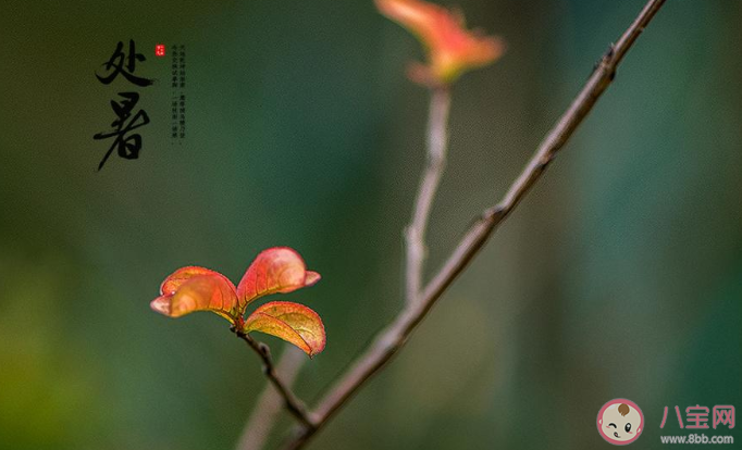 2020今日處暑節氣一句話朋友圈帶圖 2020今日處暑圖片發朋友圈說說句子