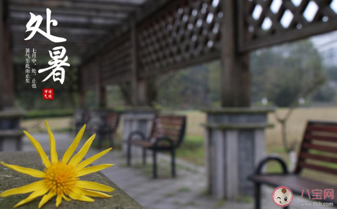 2020今日處暑早安心語 2020處暑節氣早安的說說 2020今日處暑早安心語 2020處暑節氣早安的說說