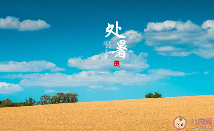 2020今日處暑早安心語 2020處暑節氣早安的說說 2020今日處暑早安心語 2020處暑節氣早安的說說