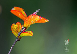 2020今日處暑節氣一句話朋友圈帶圖 2020今日處暑圖片發朋友圈說說句子