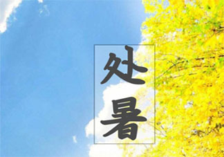 2020處暑節氣圖片個性文案句子 2020處暑節氣個性文案說說配圖