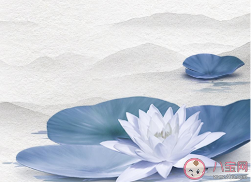 2020處暑節(jié)氣圖片個(gè)性文案句子 2020處暑節(jié)氣個(gè)性文案說(shuō)說(shuō)配圖 2020處暑節(jié)氣圖片個(gè)性文案句子 2020處暑節(jié)氣個(gè)性文案說(shuō)說(shuō)配圖