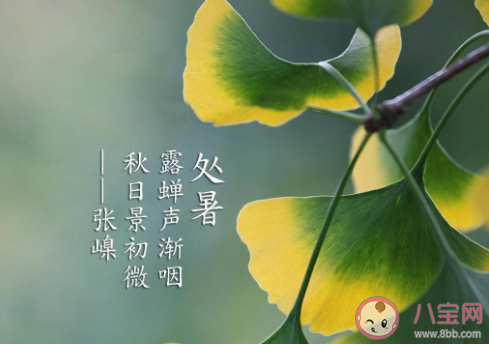 2020處暑節(jié)氣圖片個(gè)性文案句子 2020處暑節(jié)氣個(gè)性文案說(shuō)說(shuō)配圖 2020處暑節(jié)氣圖片個(gè)性文案句子 2020處暑節(jié)氣個(gè)性文案說(shuō)說(shuō)配圖