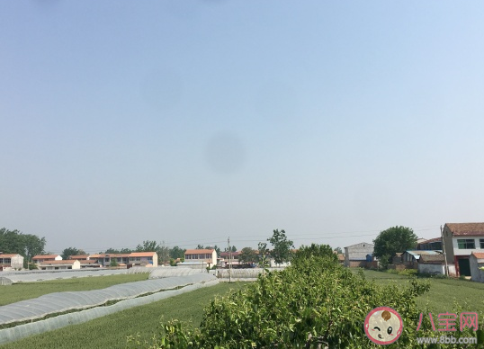 關(guān)于想爺爺奶奶了的說說心情短語 想念爺爺奶奶發(fā)朋友圈文案