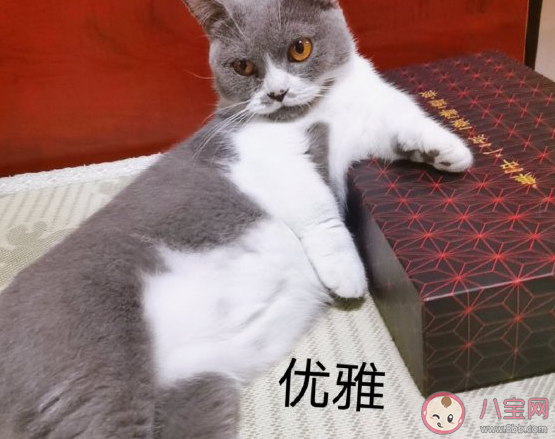 表達最近瘦了的心情說說 體重下降輕了發朋友圈說說 表達最近瘦了的心情說說 體重下降輕了發朋友圈說說